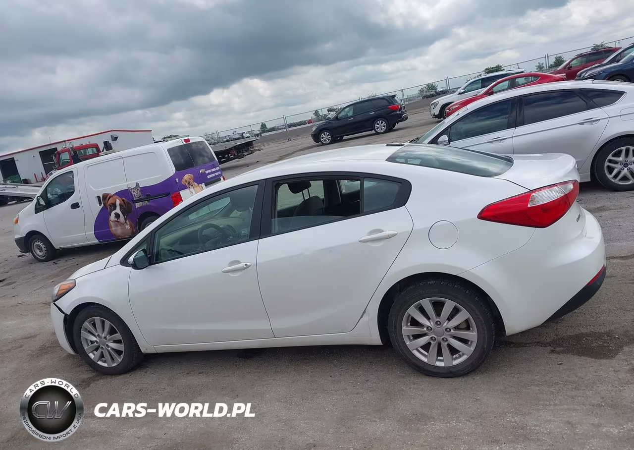 2014 Kia Forte Lx VIN:KNAFX4A6XE5134246 - 14