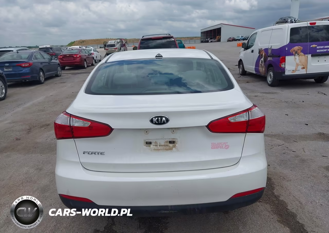 2014 Kia Forte Lx VIN:KNAFX4A6XE5134246 - 16