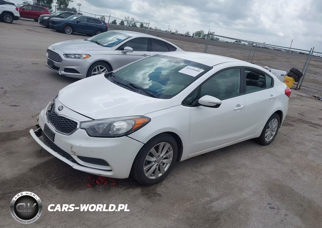 2014 Kia Forte Lx VIN:KNAFX4A6XE5134246 - 2