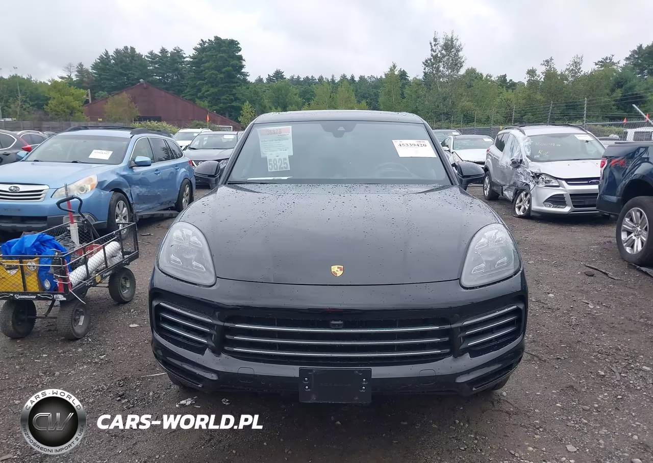 2022 Porsche Cayenne Platinum Edition VIN:WP1AA2AY6NDA00357 - 13