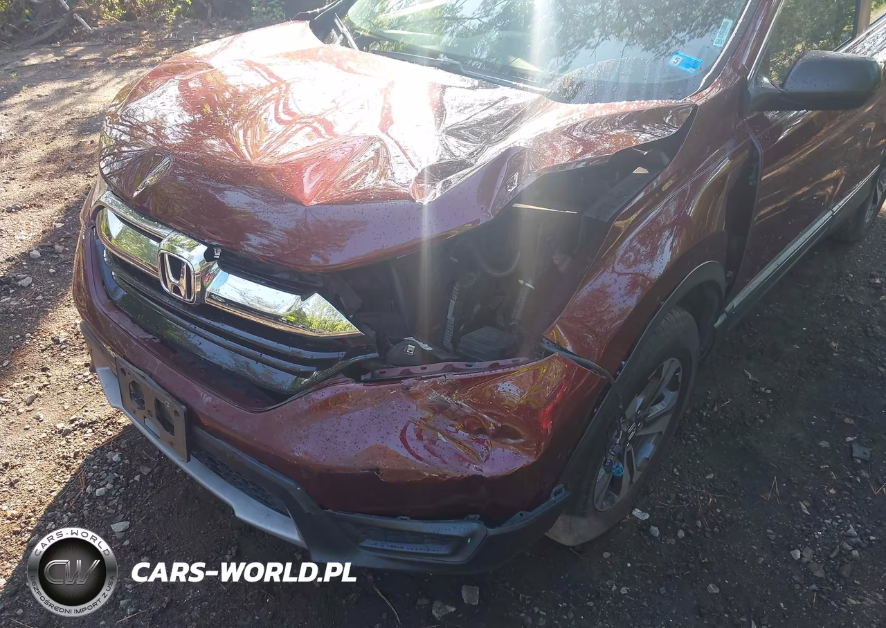 2019 Honda Cr-V Lx VIN:2HKRW6H36KH230025 - 6