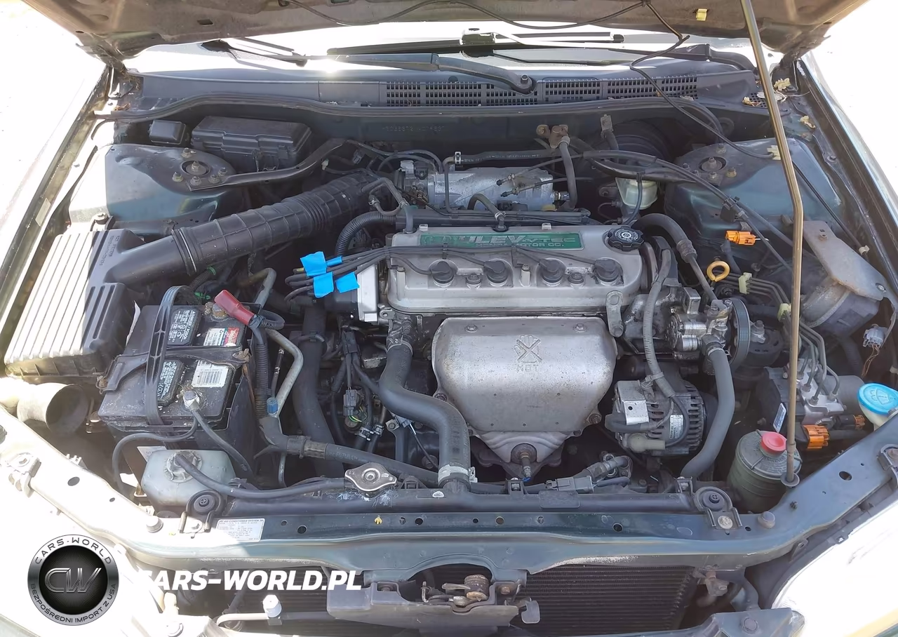 1998 Honda Accord Ex VIN:1HGCG6672WA019637 - 10