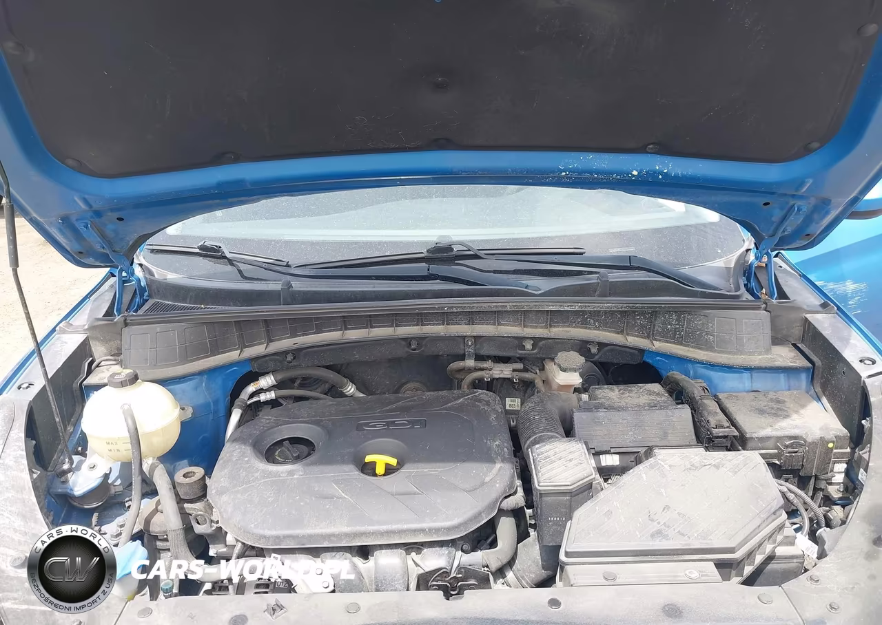 2016 Hyundai Tucson Se VIN:KM8J3CA45GU088282 - 10