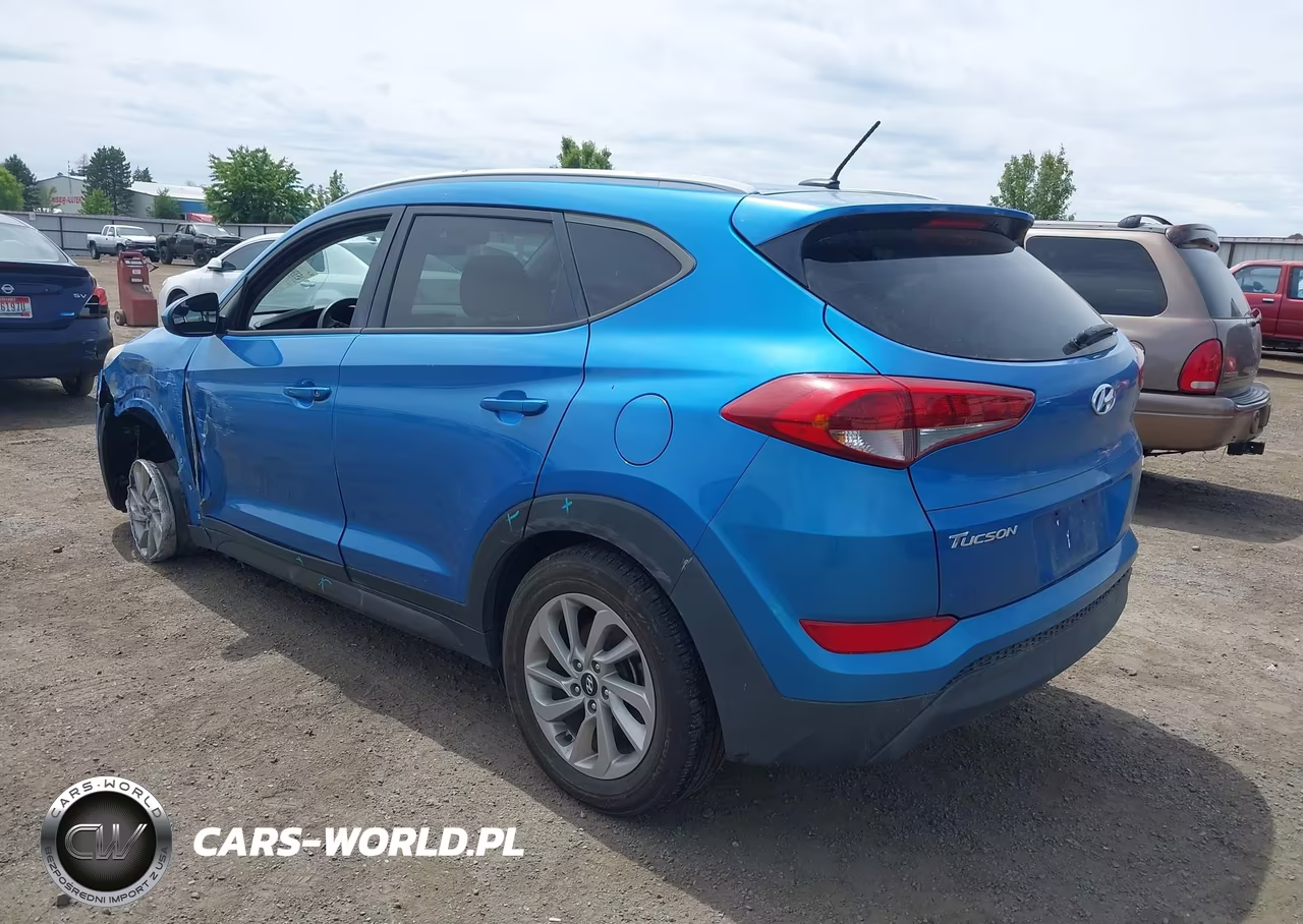 2016 Hyundai Tucson Se VIN:KM8J3CA45GU088282 - 3