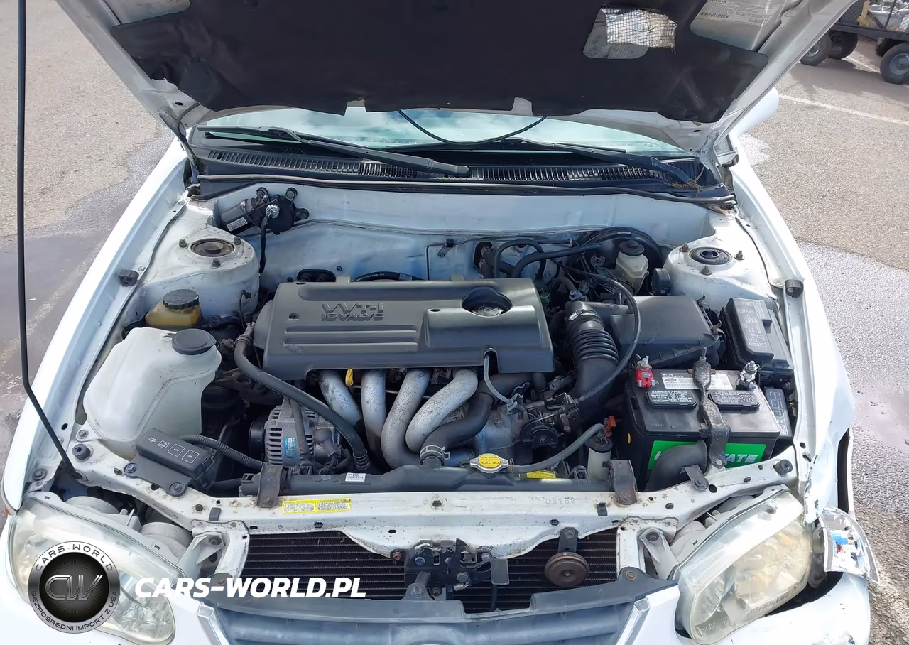 2002 Toyota Corolla Le VIN:1NXBR12E12Z565619 - 10