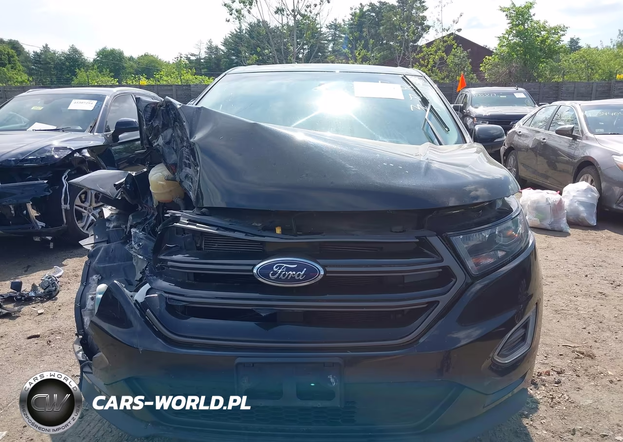 2015 Ford Edge Sport VIN:2FMTK4AP1FBB36828 - 12