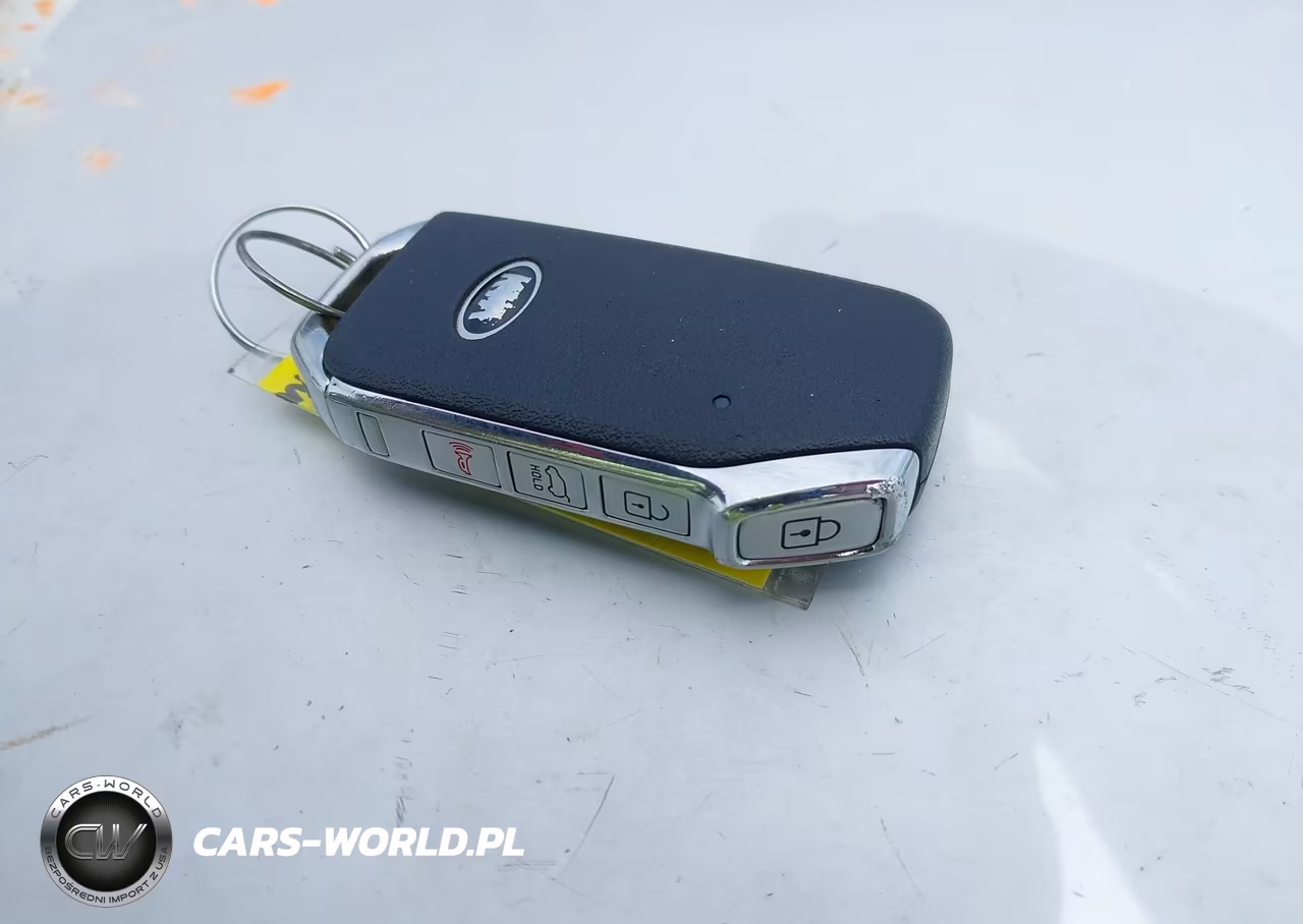 2020 Kia Telluride Ex VIN:5XYP34HC8LG067519 - 11