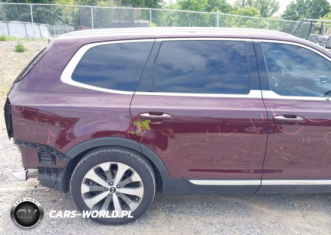 2020 Kia Telluride Ex VIN:5XYP34HC8LG067519 - 12