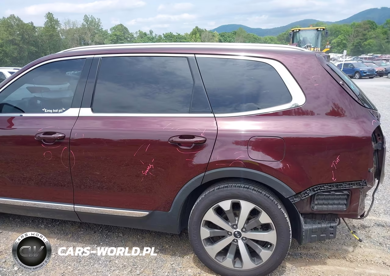 2020 Kia Telluride Ex VIN:5XYP34HC8LG067519 - 19