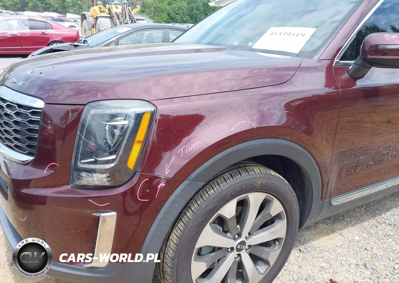 2020 Kia Telluride Ex VIN:5XYP34HC8LG067519 - 20