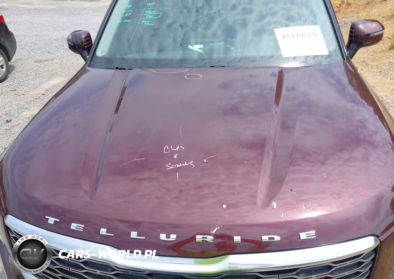 2020 Kia Telluride Ex VIN:5XYP34HC8LG067519 - 21