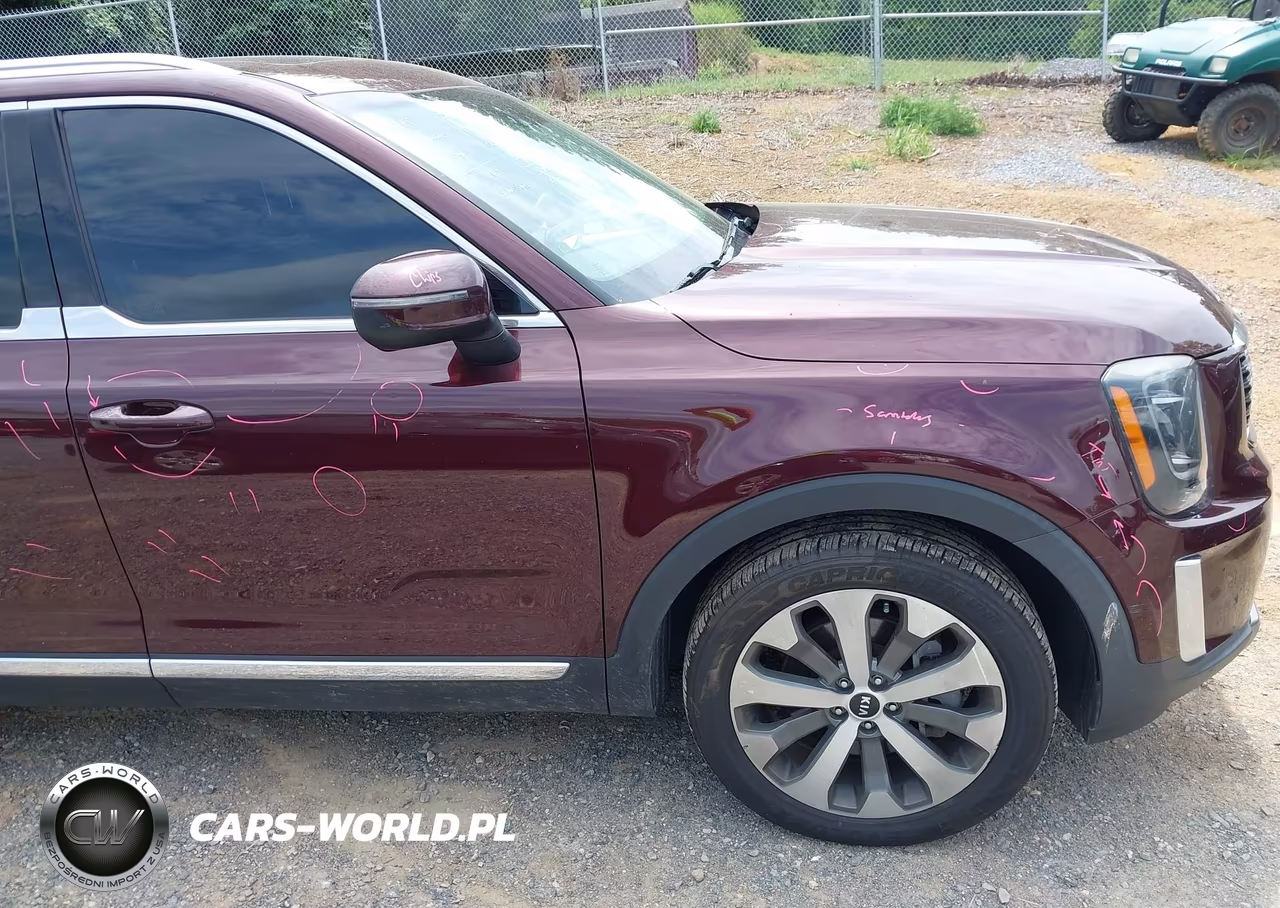 2020 Kia Telluride Ex VIN:5XYP34HC8LG067519 - 22