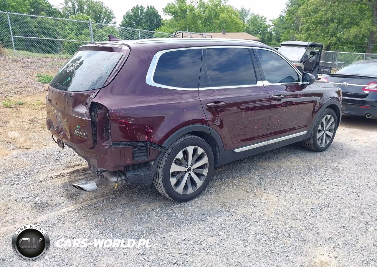 2020 Kia Telluride Ex VIN:5XYP34HC8LG067519 - 4