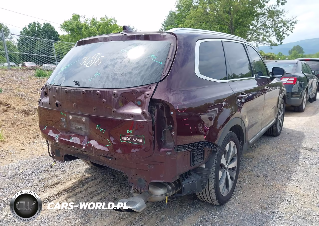 2020 Kia Telluride Ex VIN:5XYP34HC8LG067519 - 6