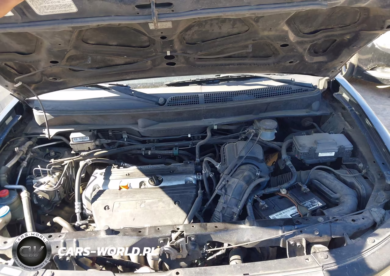 2006 Honda Element Ex-P VIN:5J6YH18766L006132 - 10