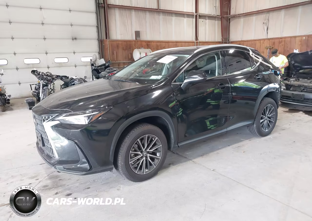 2025 Lexus Nx 350 VIN:2T2AGCEZ9SC088186 - 2