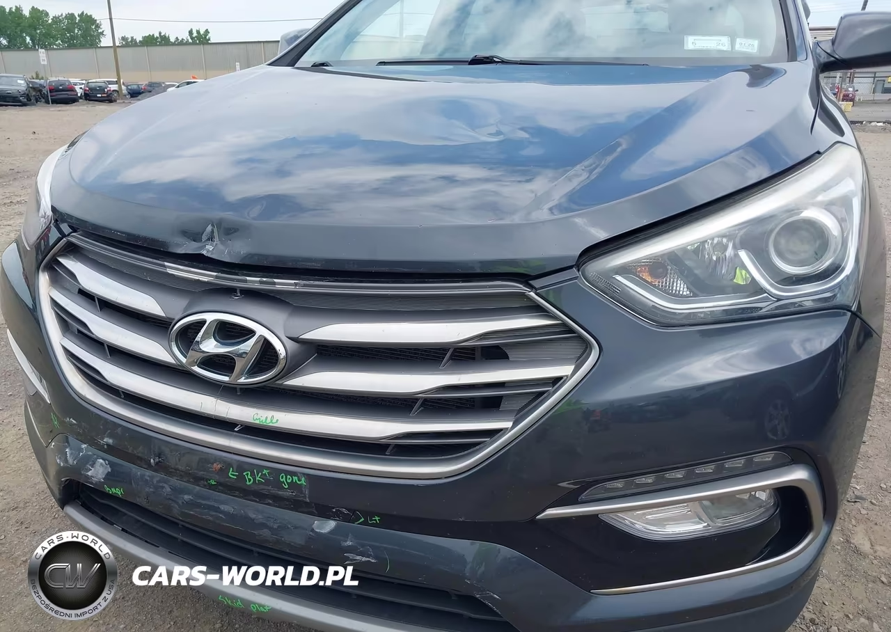 2017 Hyundai Santa Fe Sport 2.4L VIN:5XYZUDLB3HG427680 - 6