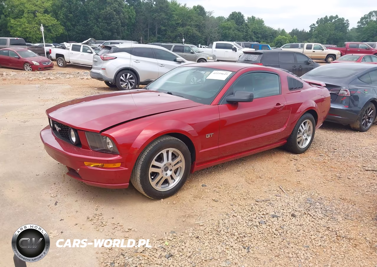 2005 Ford Mustang Gt Deluxe-Gt Premium VIN:1ZVFT82H955210266 - 2