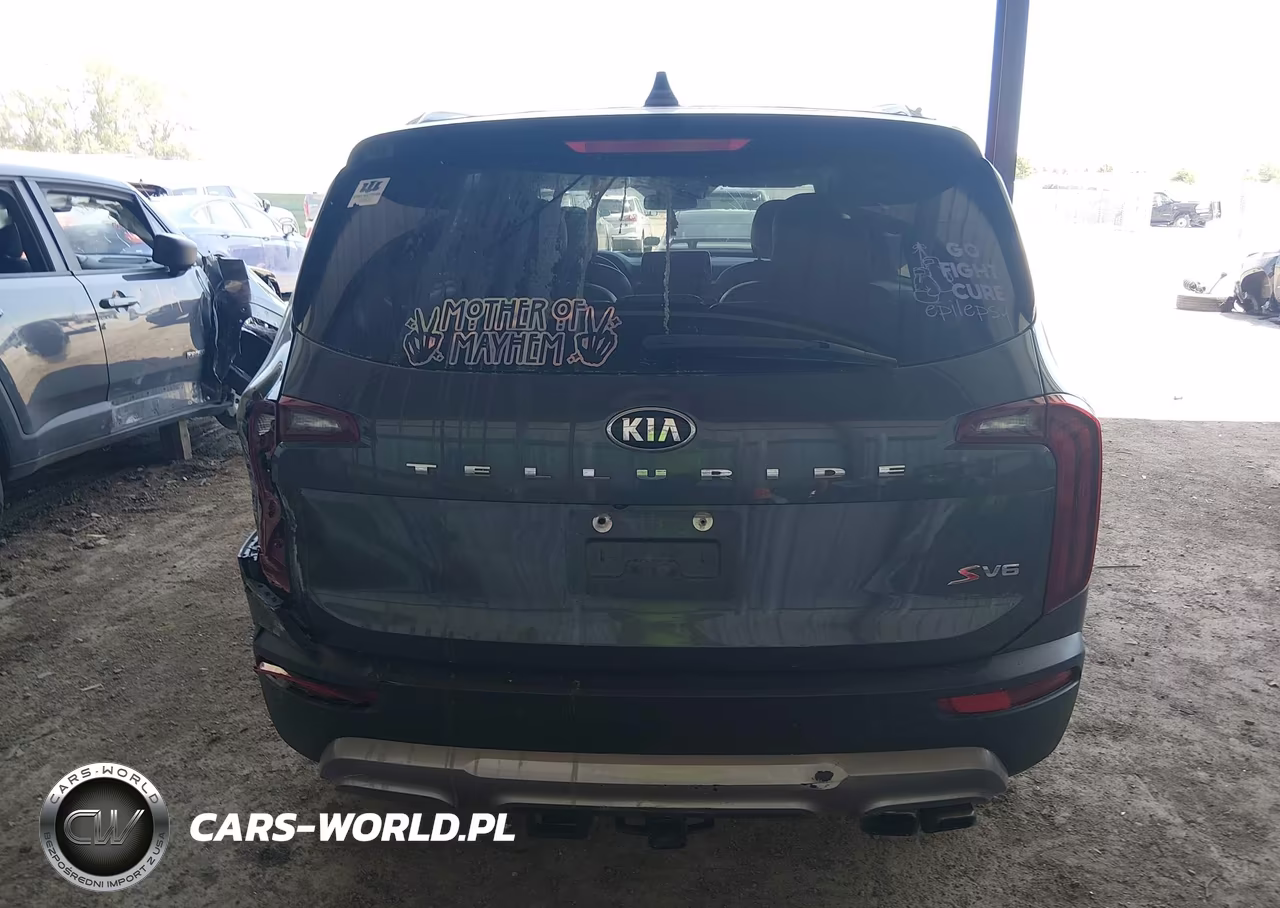 2020 Kia Telluride S VIN:5XYP64HC7LG081290 - 16