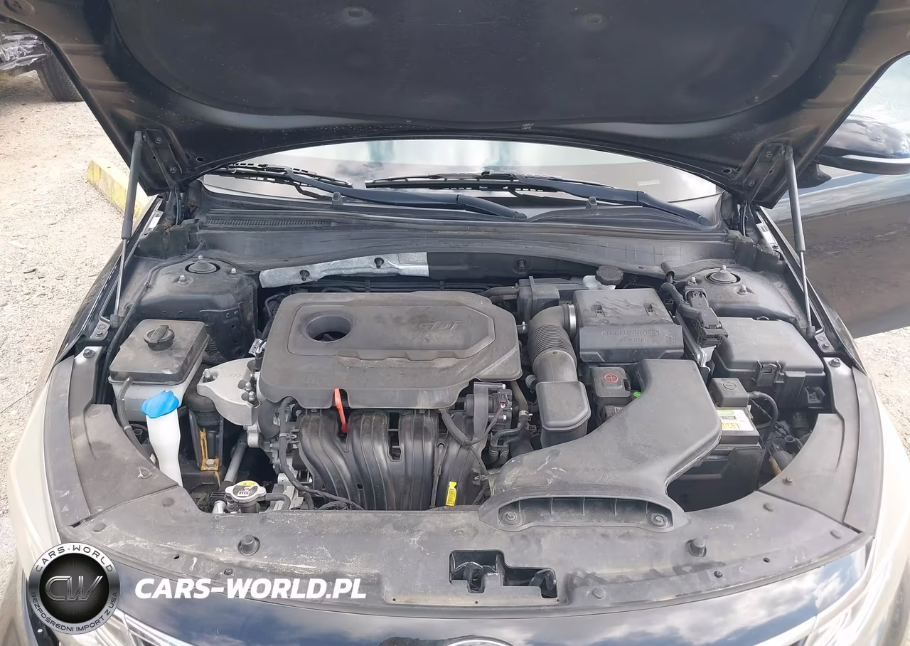 2019 Kia Optima Lx VIN:5XXGT4L31KG287823 - 10