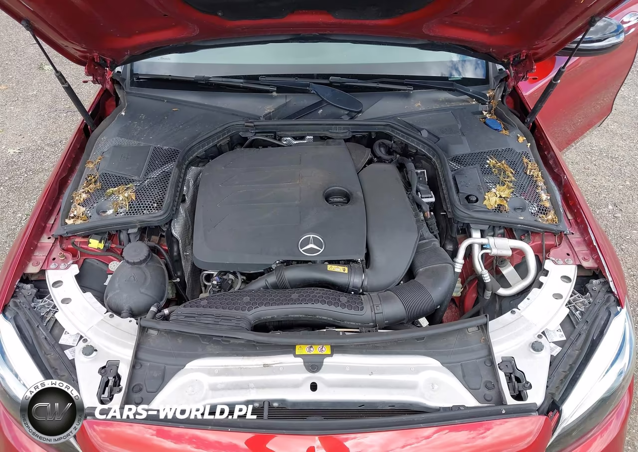 2020 Mercedes-Benz C 300 4Matic VIN:WDDWF8EB9LR562096 - 10