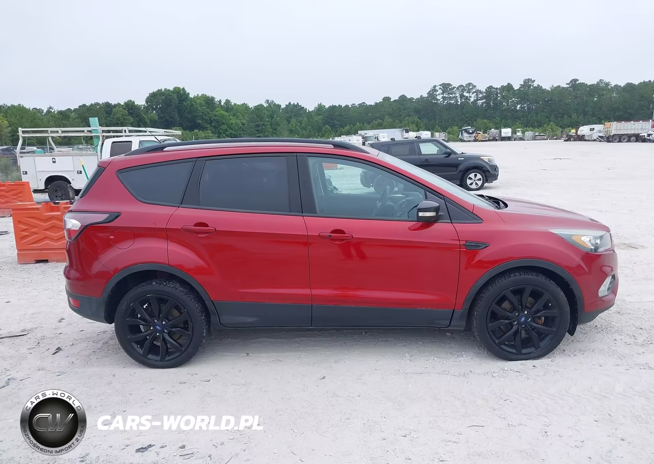 2017 Ford Escape Titanium VIN:1FMCU0J95HUD41070 - 13