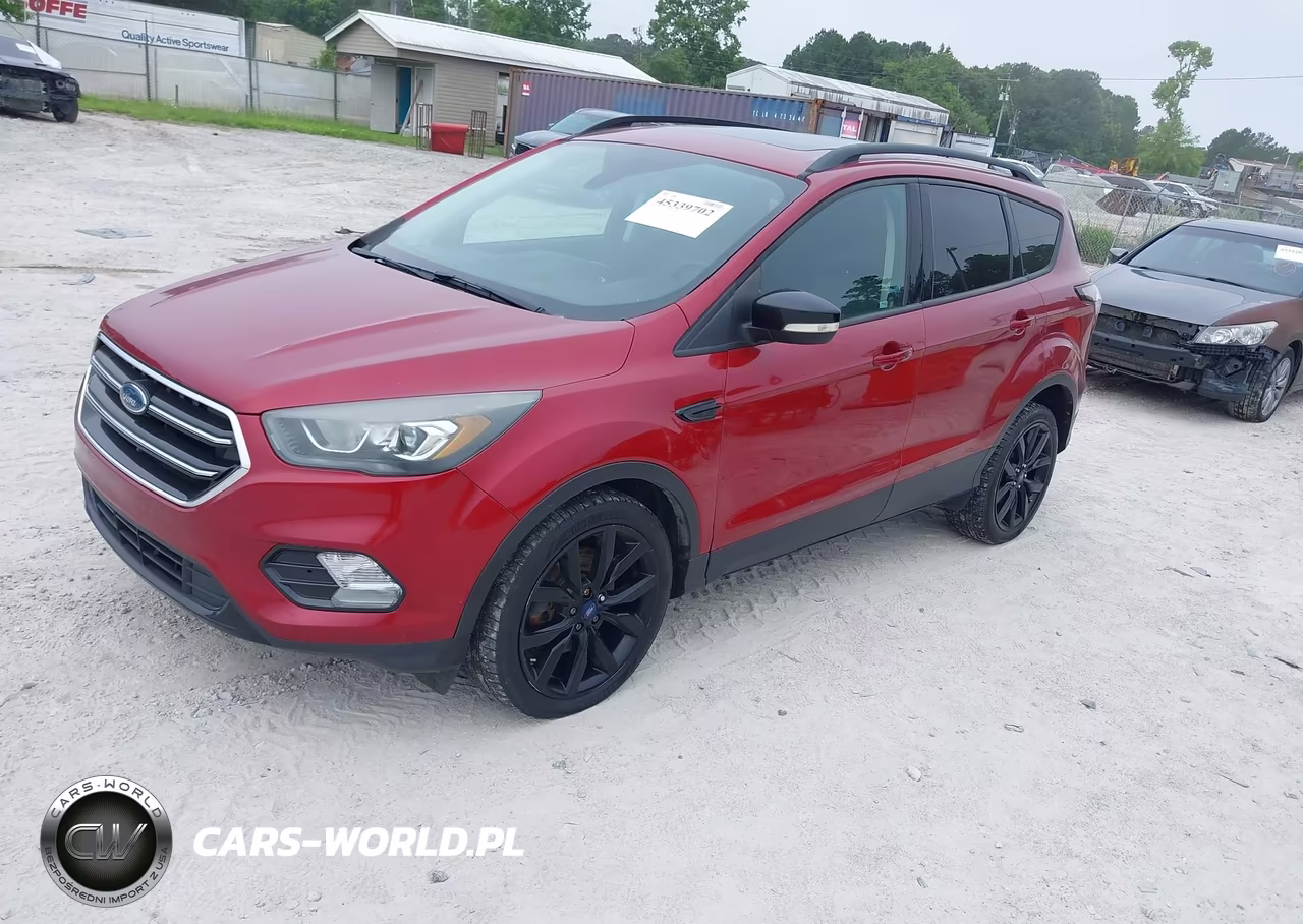 2017 Ford Escape Titanium VIN:1FMCU0J95HUD41070 - 2