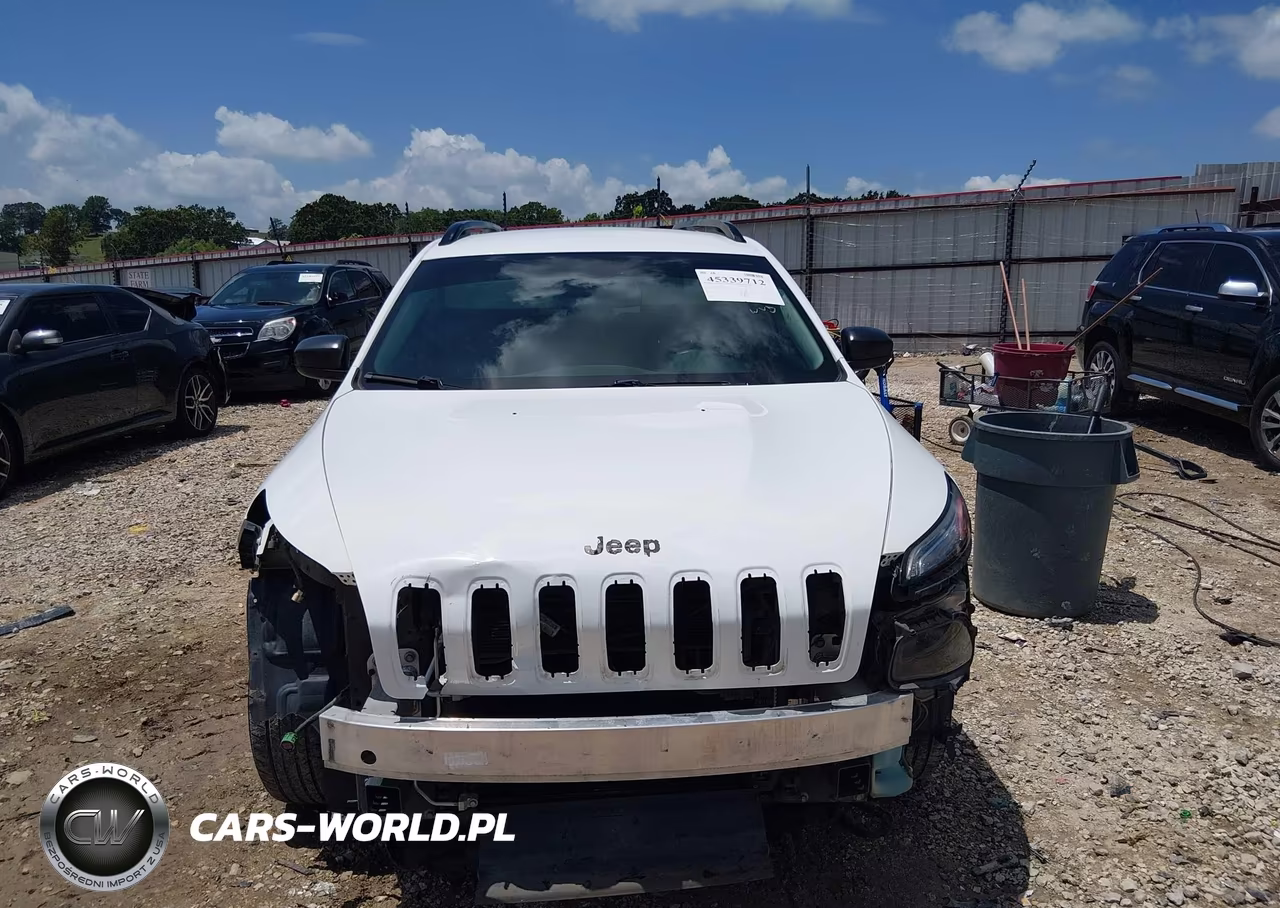 2016 Jeep Cherokee Sport VIN:1C4PJLAB2GW257603 - 13