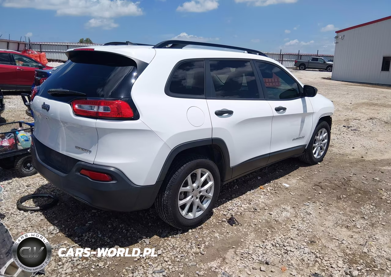 2016 Jeep Cherokee Sport VIN:1C4PJLAB2GW257603 - 4