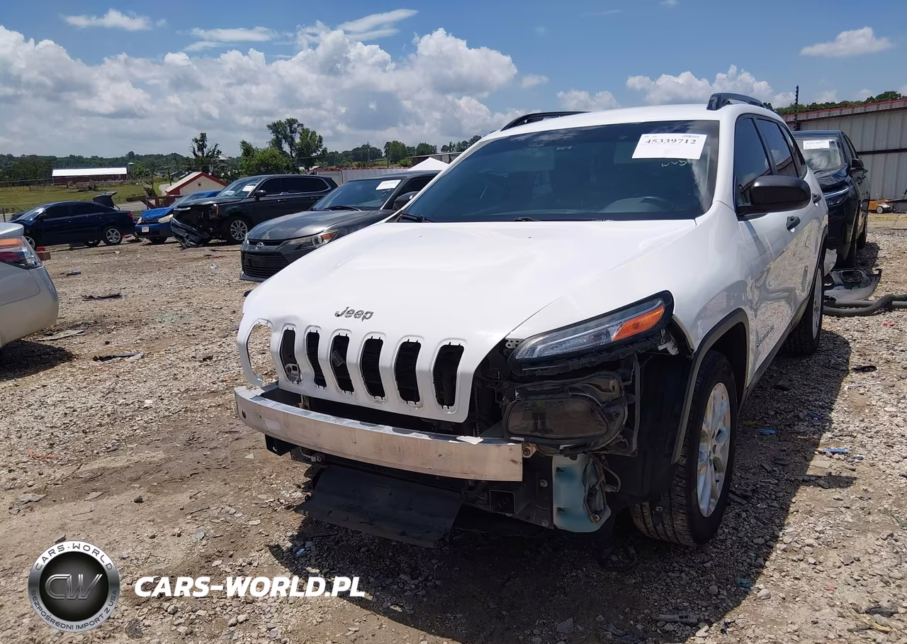 2016 Jeep Cherokee Sport VIN:1C4PJLAB2GW257603 - 6