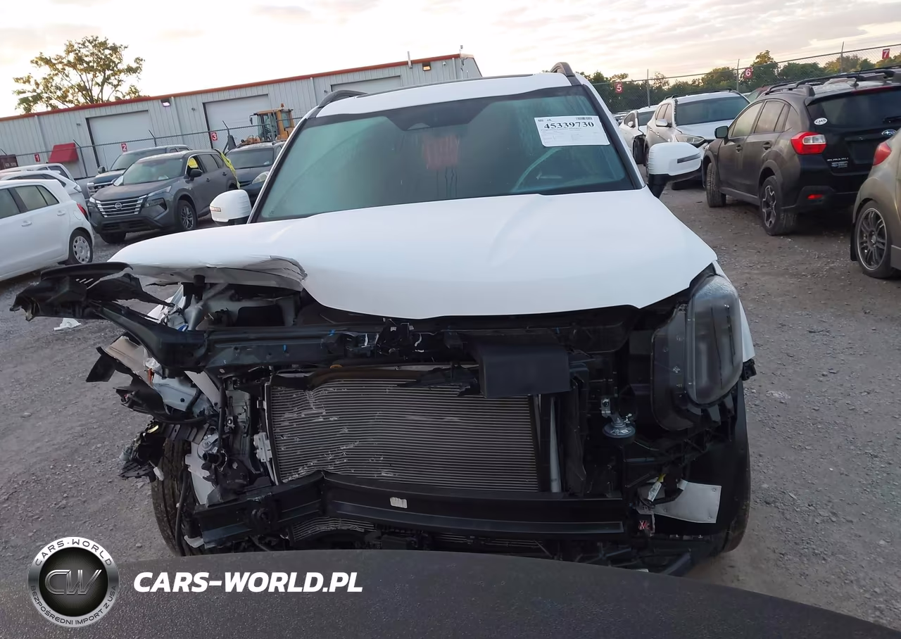 2025 Kia Telluride Sx Prestige X-Line VIN:5XYP5DGC6SG715420 - 13