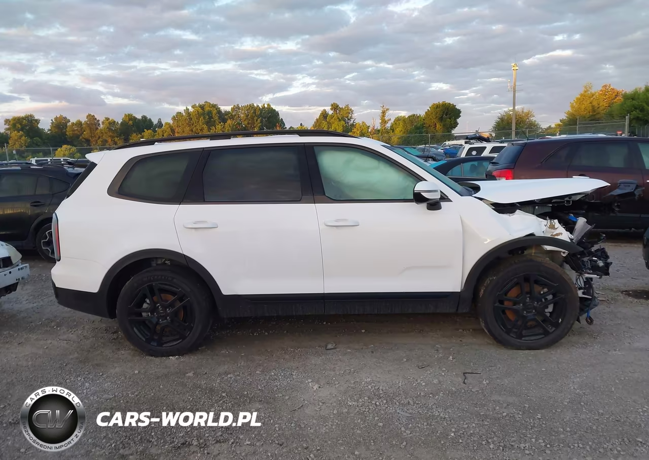 2025 Kia Telluride Sx Prestige X-Line VIN:5XYP5DGC6SG715420 - 14