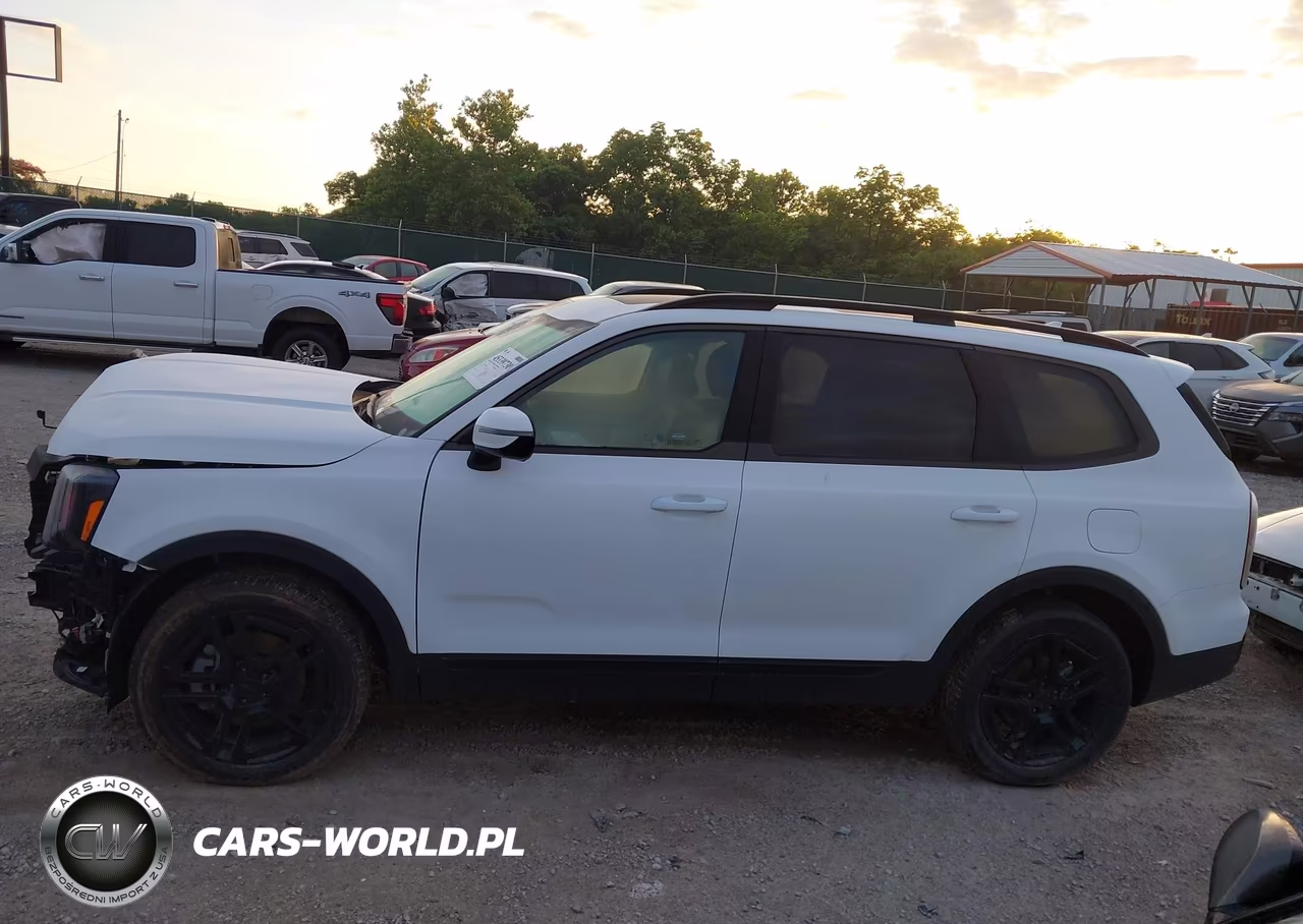 2025 Kia Telluride Sx Prestige X-Line VIN:5XYP5DGC6SG715420 - 15