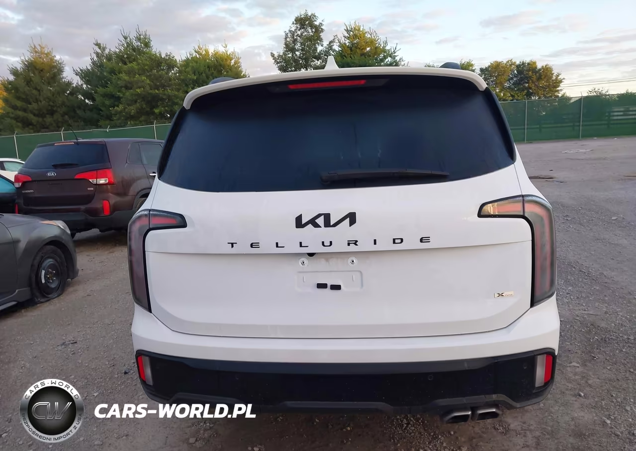 2025 Kia Telluride Sx Prestige X-Line VIN:5XYP5DGC6SG715420 - 17