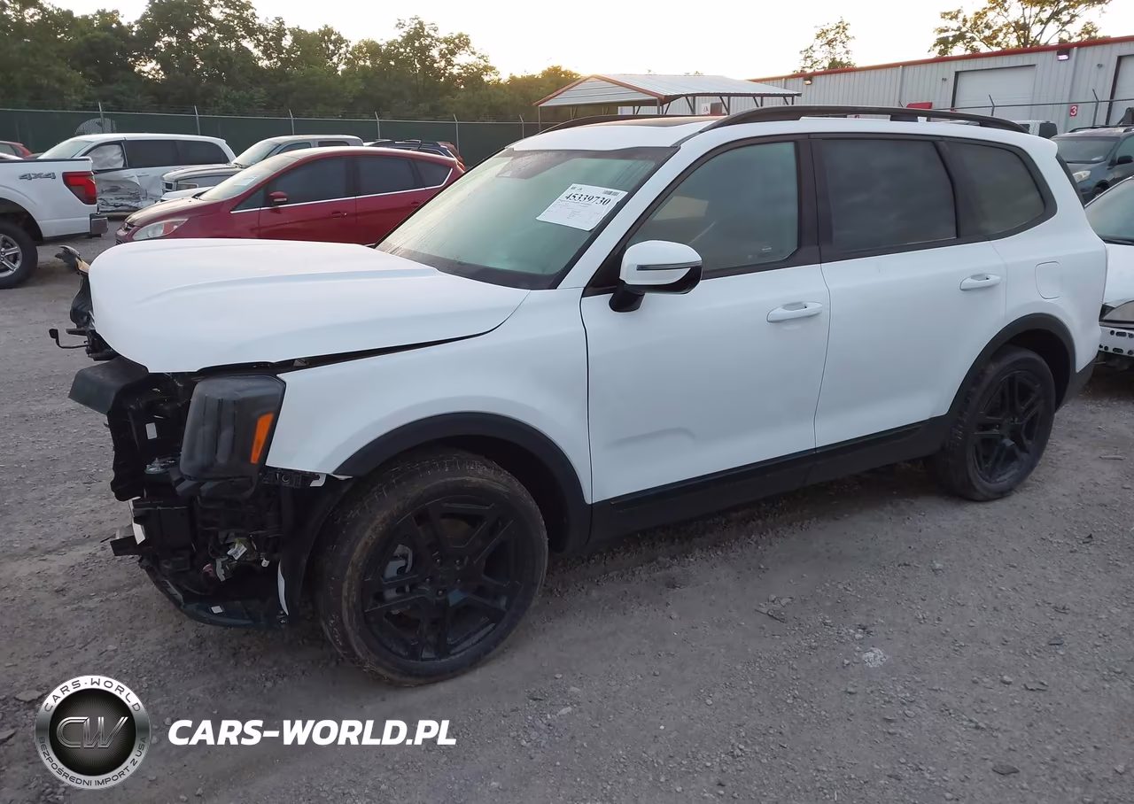 2025 Kia Telluride Sx Prestige X-Line VIN:5XYP5DGC6SG715420 - 2