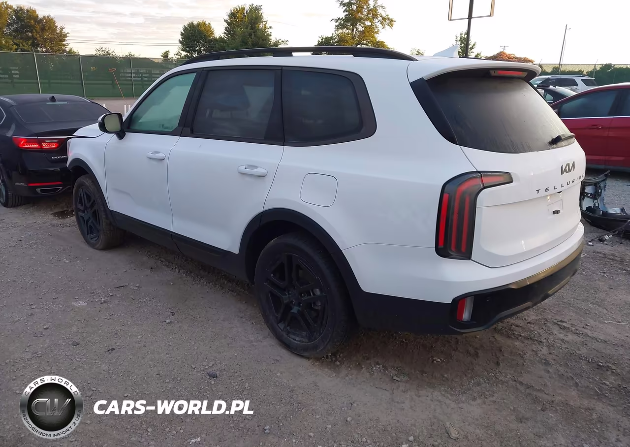 2025 Kia Telluride Sx Prestige X-Line VIN:5XYP5DGC6SG715420 - 3