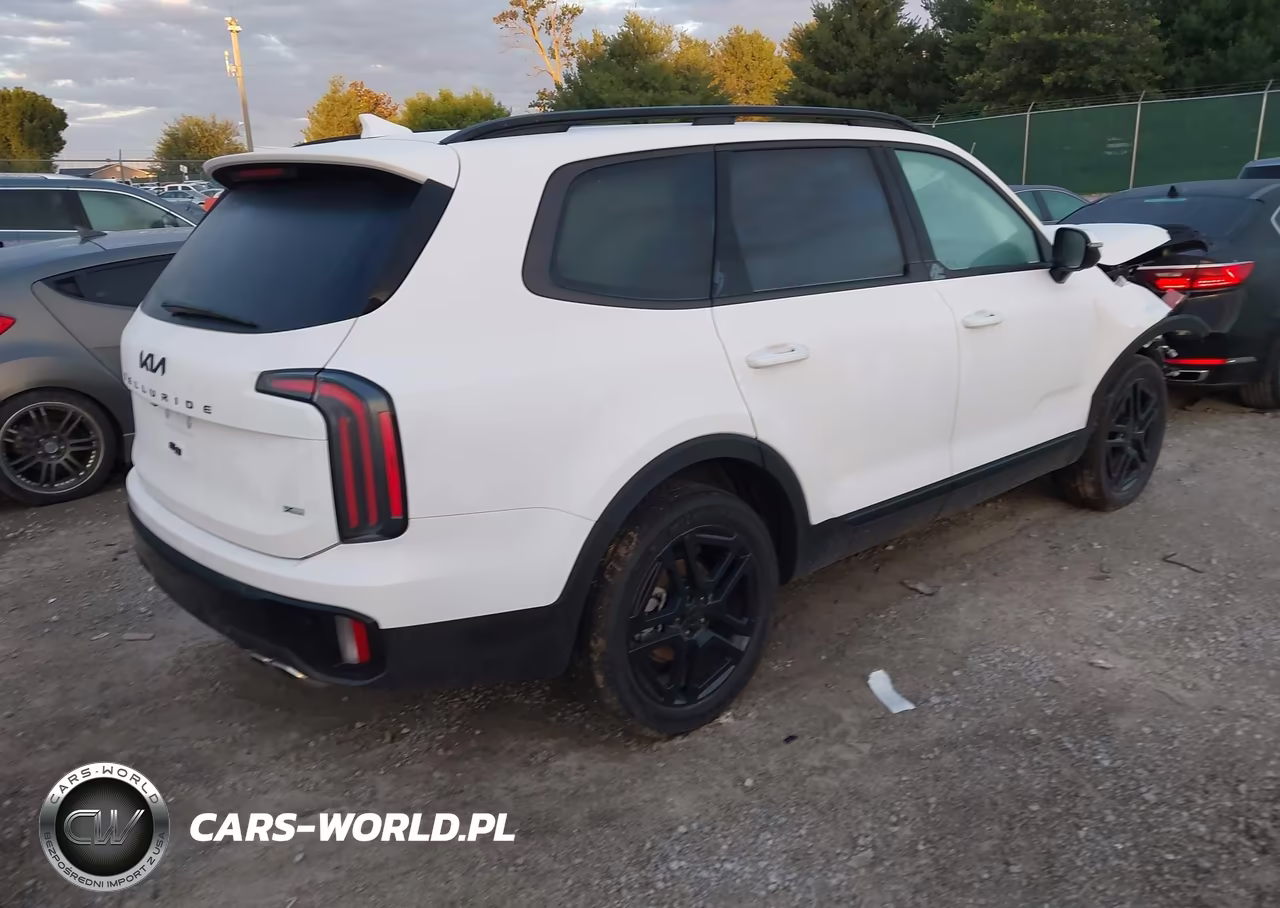 2025 Kia Telluride Sx Prestige X-Line VIN:5XYP5DGC6SG715420 - 4