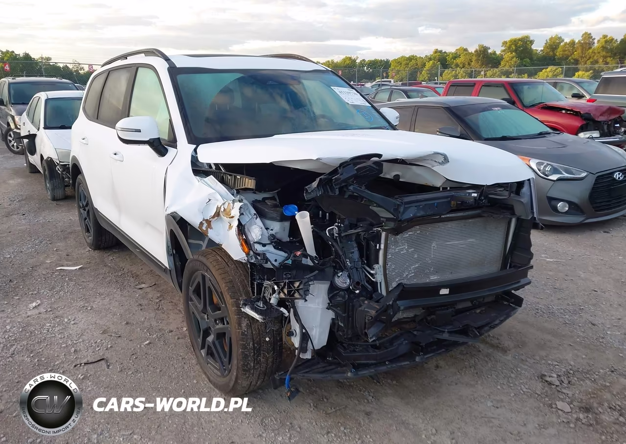 2025 Kia Telluride Sx Prestige X-Line VIN:5XYP5DGC6SG715420 - 6