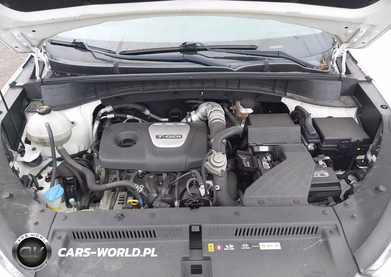 2017 Hyundai Tucson Sport VIN:KM8J3CA2XHU293452 - 10