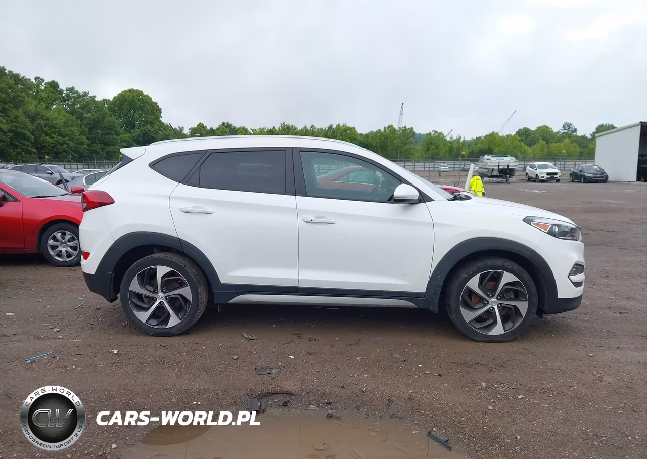 2017 Hyundai Tucson Sport VIN:KM8J3CA2XHU293452 - 13