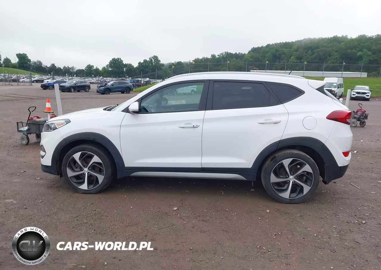 2017 Hyundai Tucson Sport VIN:KM8J3CA2XHU293452 - 14
