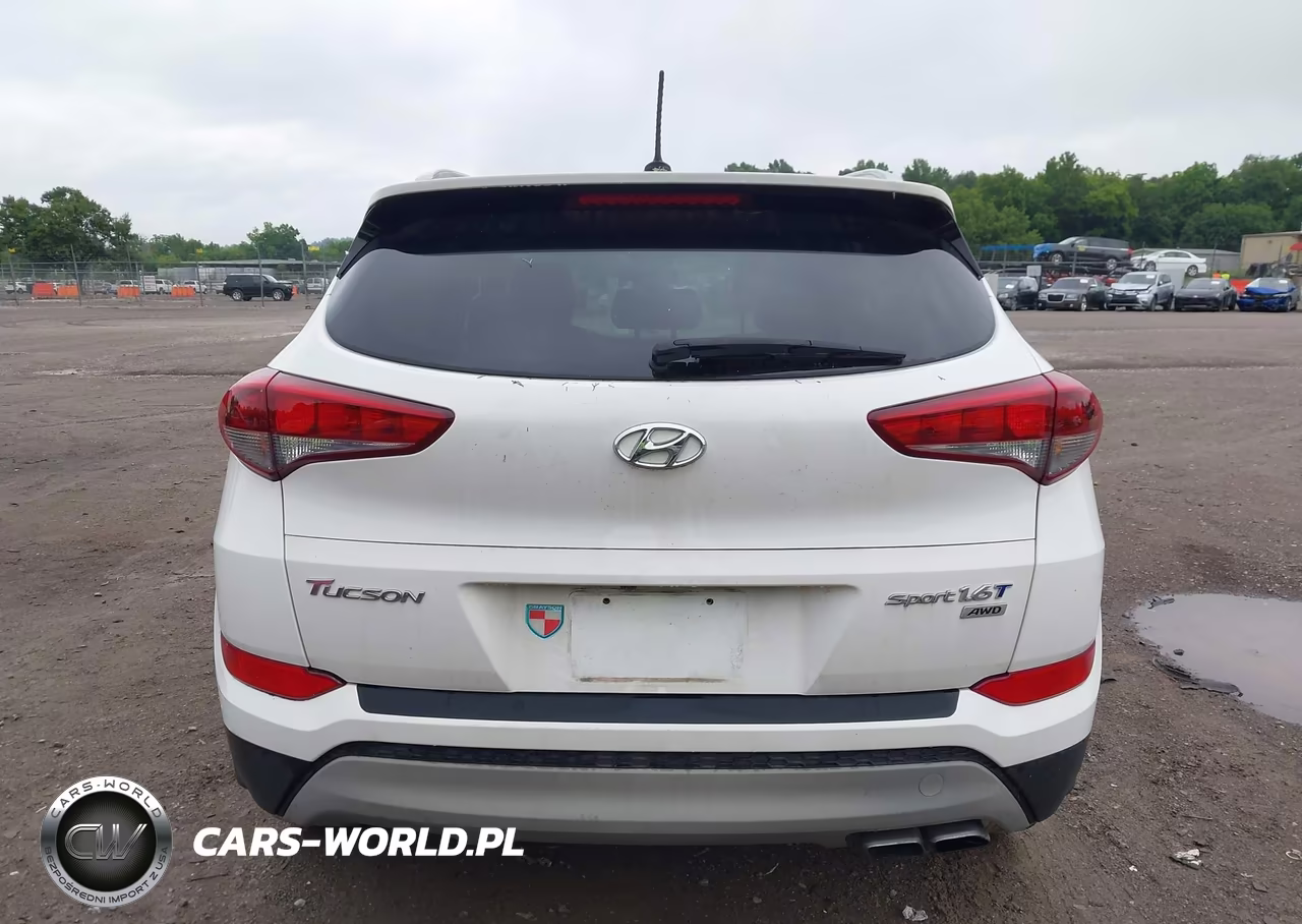 2017 Hyundai Tucson Sport VIN:KM8J3CA2XHU293452 - 16