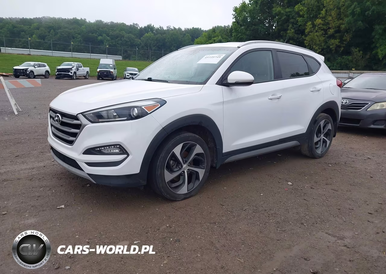 2017 Hyundai Tucson Sport VIN:KM8J3CA2XHU293452 - 2