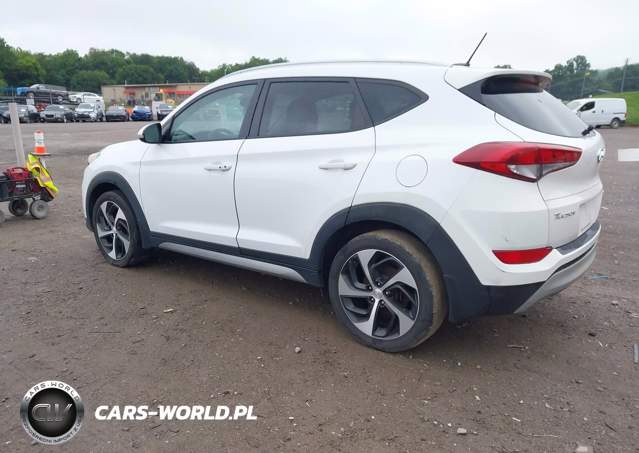 2017 Hyundai Tucson Sport VIN:KM8J3CA2XHU293452 - 3