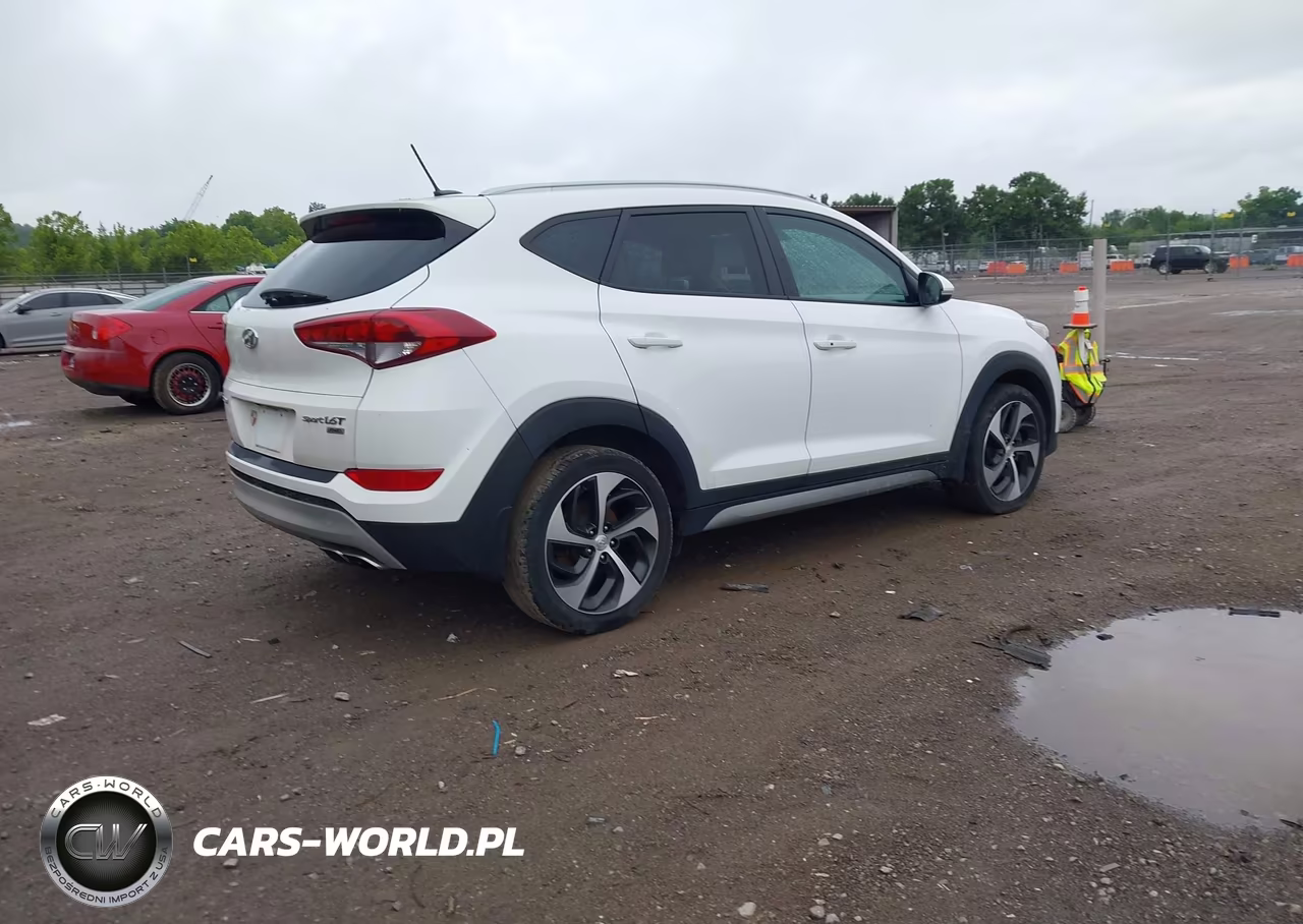 2017 Hyundai Tucson Sport VIN:KM8J3CA2XHU293452 - 4