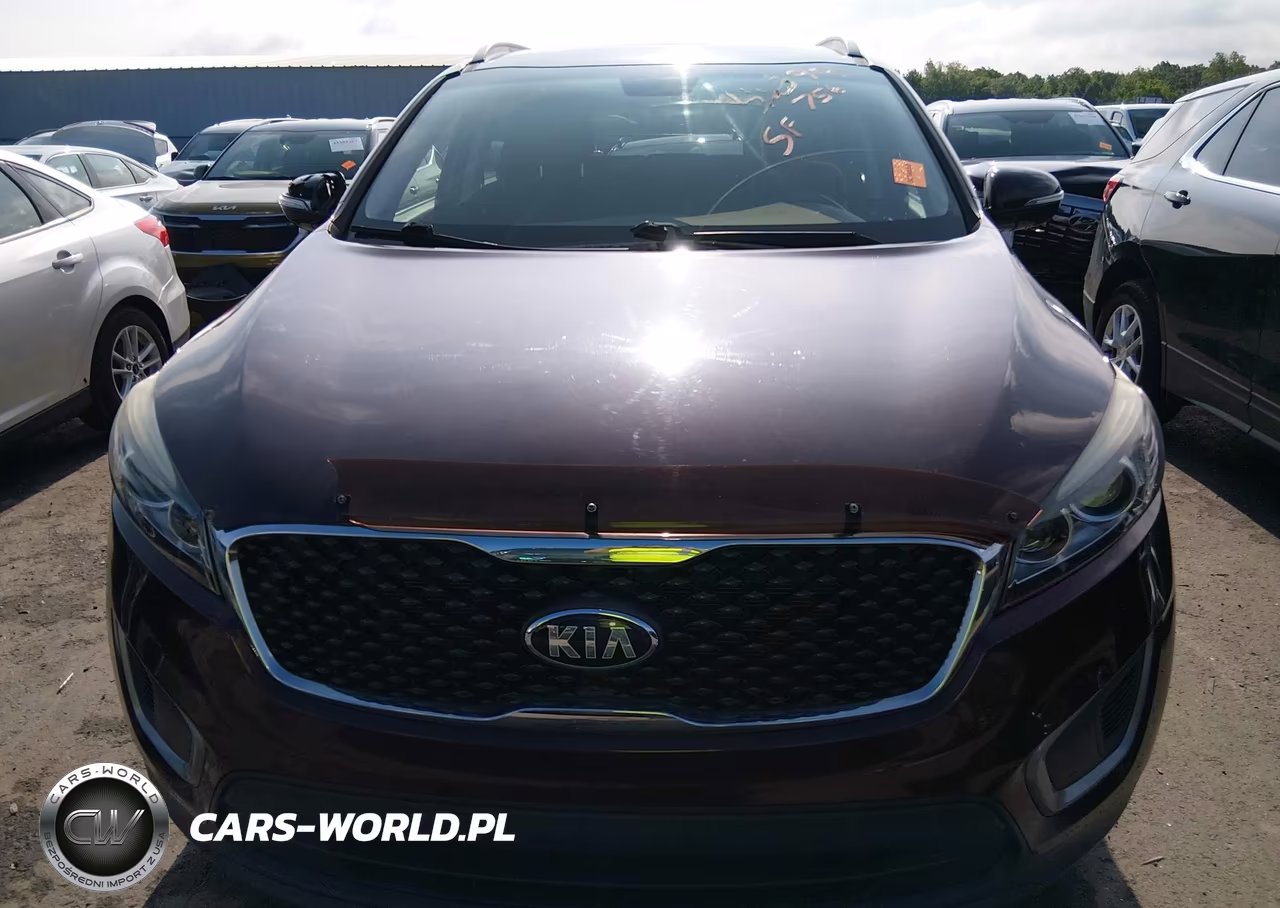 2016 Kia Sorento 2.4L Lx VIN:5XYPG4A30GG020523 - 12