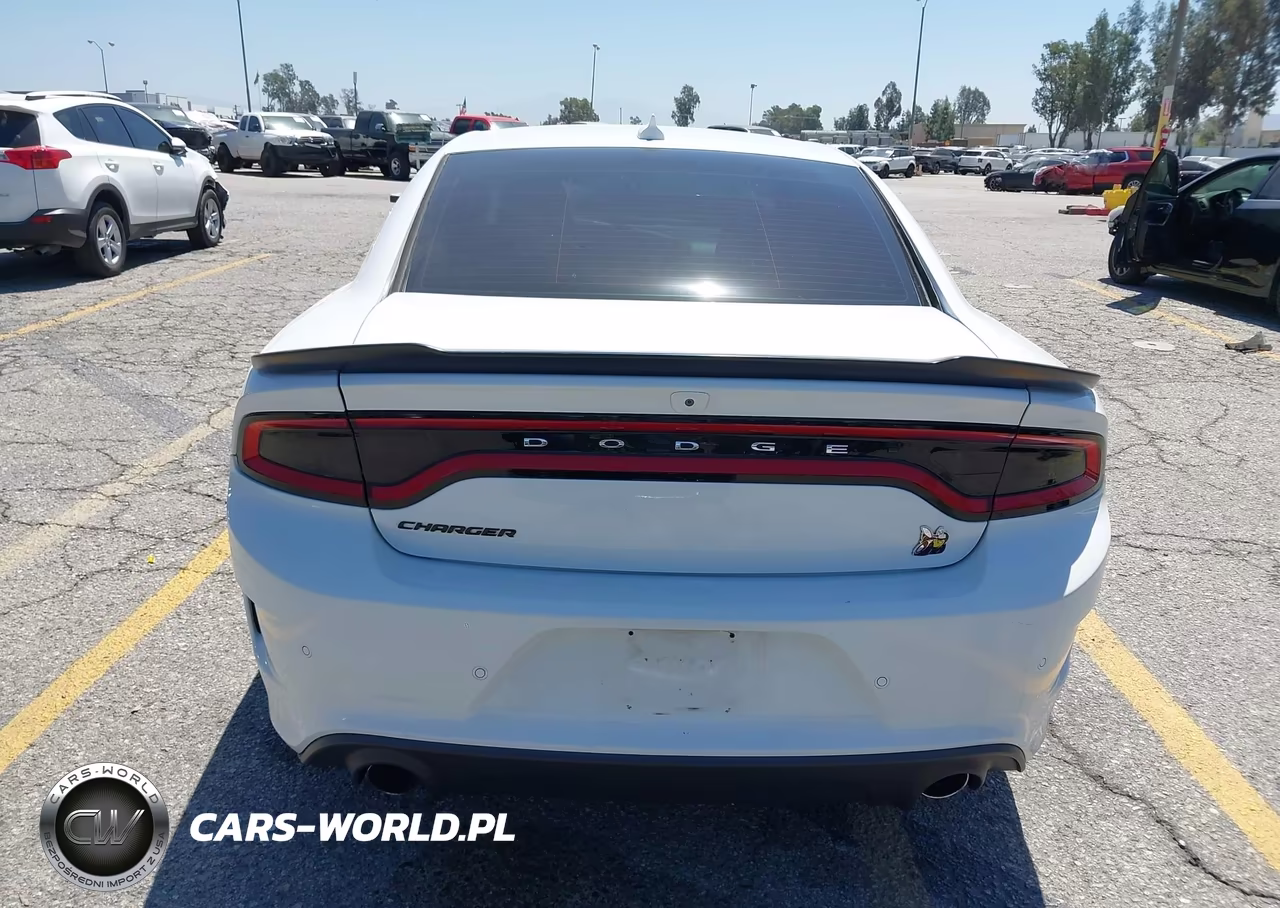 2019 Dodge Charger Scat Pack Rwd VIN:2C3CDXGJXKH519035 - 17