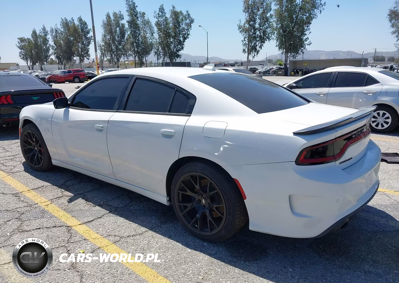 2019 Dodge Charger Scat Pack Rwd VIN:2C3CDXGJXKH519035 - 3