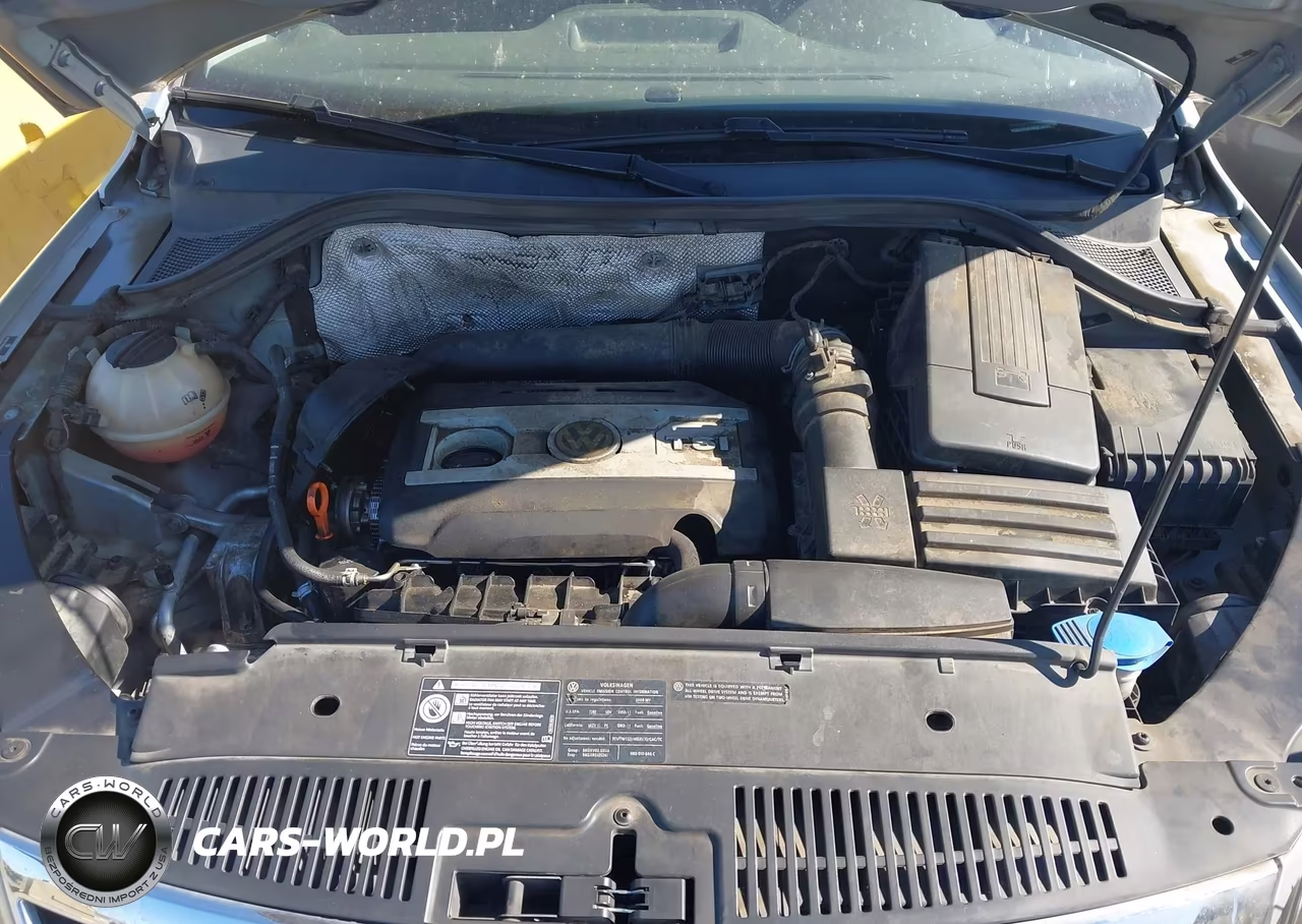 2009 Volkswagen Tiguan Se VIN:WVGBV75N29W514171 - 10