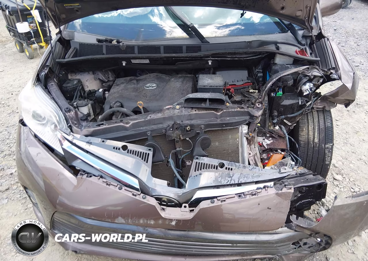 2020 Toyota Sienna Xle Premium VIN:5TDYZ3DC2LS080188 - 10
